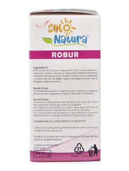 Robur - 6