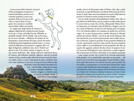Rocche & Castelli dell'Emilia Romagna — Libro - 4