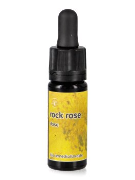 Rock Rose - Dose - 1