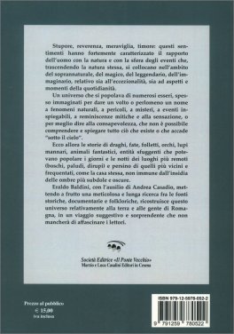 Romagna Arcana — Libro - 2