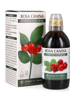 Rosa Canina - 2