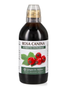 Rosa Canina - 3