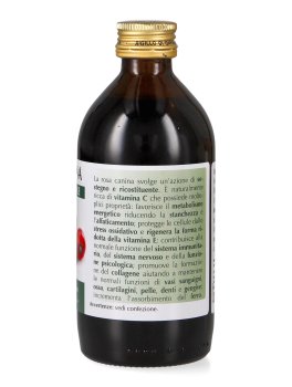 Rosa Canina - 4