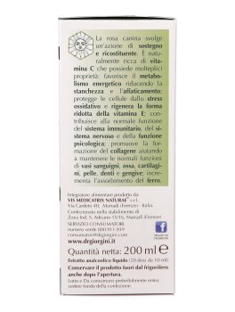 Rosa Canina - 6