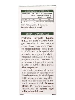 Rosa Canina - 7