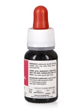 Rosa Canina - Basegemmo - 3