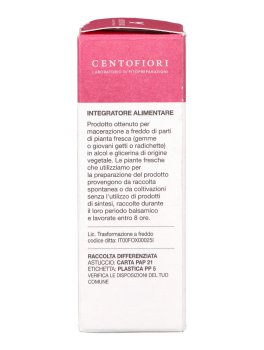 Rosa Canina - Basegemmo - 5