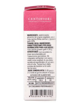 Rosa Canina - Basegemmo - 6