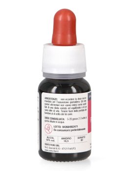 Rosa Canina - Basegemmo - 4