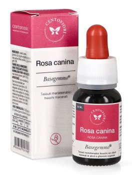 Rosa Canina - Basegemmo - 1
