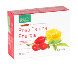 Rosa Canina Energie - 10 Ampolle - 1