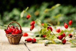 Rosa Canina in Polvere Bio - 3