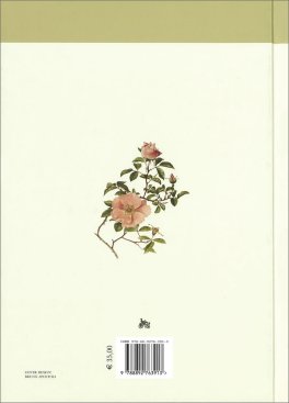 Rose — Libro - 2