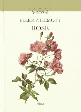Rose — Libro - 1