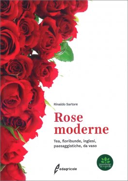 Rose Moderne — Libro - 1
