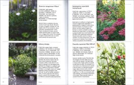 Rose Selvatiche — Libro - 5