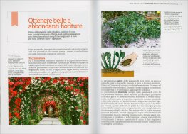 Rose Sempre in Fiore — Libro - 3