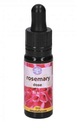 Rosemary - Fiori californiani - 1