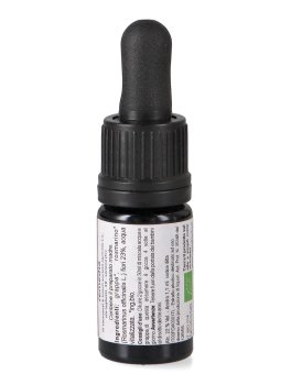 Rosemary Stock - Soluzione Madre - 2