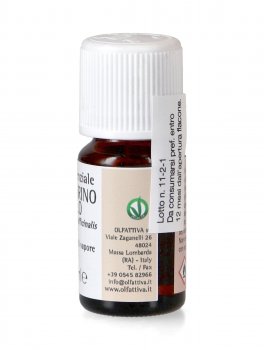 Rosmarino Cineolo - Olio Essenziale - 2
