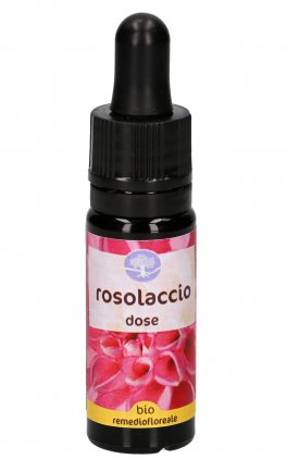 Rosolaccio - Dose - 1