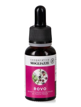 Rovo - 1