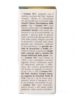 Rubus Idaeus Gemmoderivato Concentrato - Gemmo 10+ ® - 6