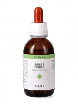 Rugiada 16 Ribes nigrum - 2