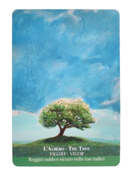Sacra Natura - Carte degli Animali Guida e degli Spiriti Naturali - 3