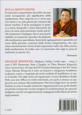 Saggezza Illimitata — Libro - 2