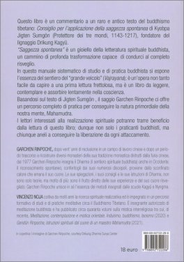 Saggezza Spontanea, Scoprire Mahamudra — Libro - 2
