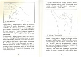 Sai Baba spiega i Mudra — Libro - 3