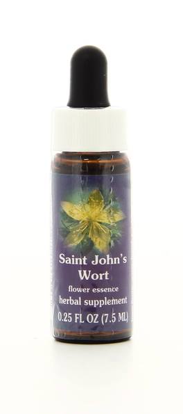 Saint John's Wort - Fiori californiani - 1
