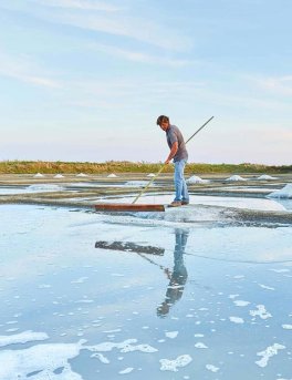 Sale Grigio dell'Atlantico - 3