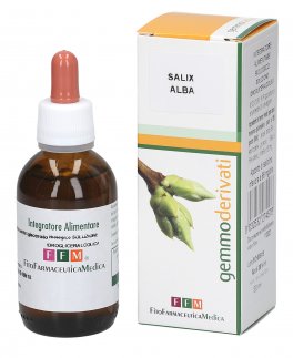 Salix Alba - 1
