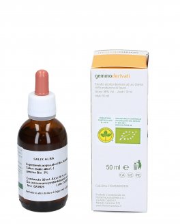 Salix Alba Gemme - Fito Attivo n. 45 - 2