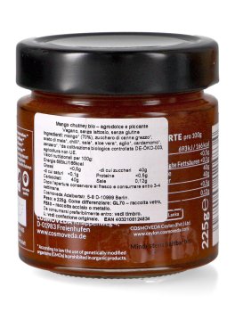 Salsa Agrodolce - Chutney Mango - 2
