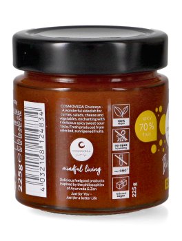 Salsa Agrodolce - Chutney Mango - 3
