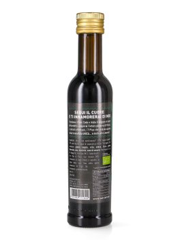 Salsa Fermentata di Riso e Fagioli Borlotti Bio - 2