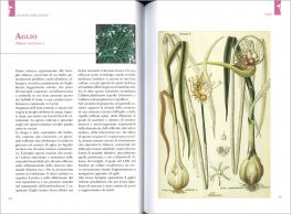 Salute e Bellezza con le Piante — Libro - 3