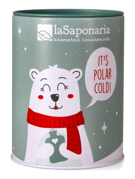 Salvadanaio Orso Polare - Kit Viso - 1