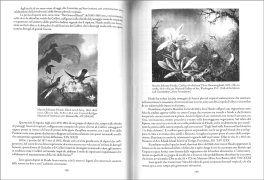 Salvaguardare la Natura, Rispettare gli Animali, Proteggere l'Ambiente, Difendere la Terra — Libro - 3