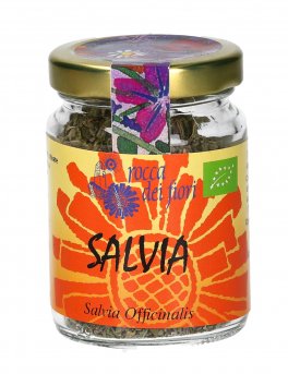 Salvia - 1