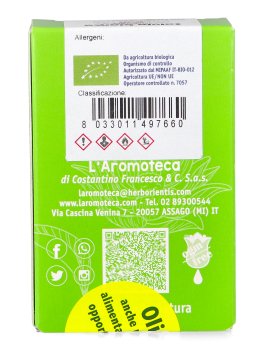 Salvia Bianca - 2