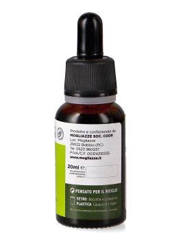 Salvia - Estratto Idroalcolico da Pianta Fresca - 2