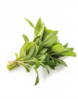 Semi di Salvia Officinalis - 1