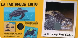 Salviamo gli Animali del Mare — Libro - 3