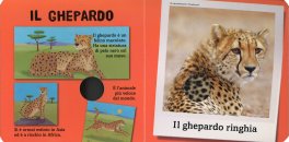 Salviamo gli Animali della Savana — Libro - 3