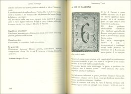 Samiramay Tarot Book — Libro - 3