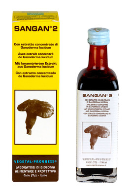 Sangan 2 - 1